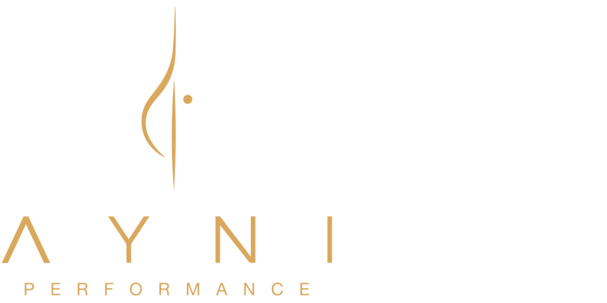 ayni_logo_dorado AYNI